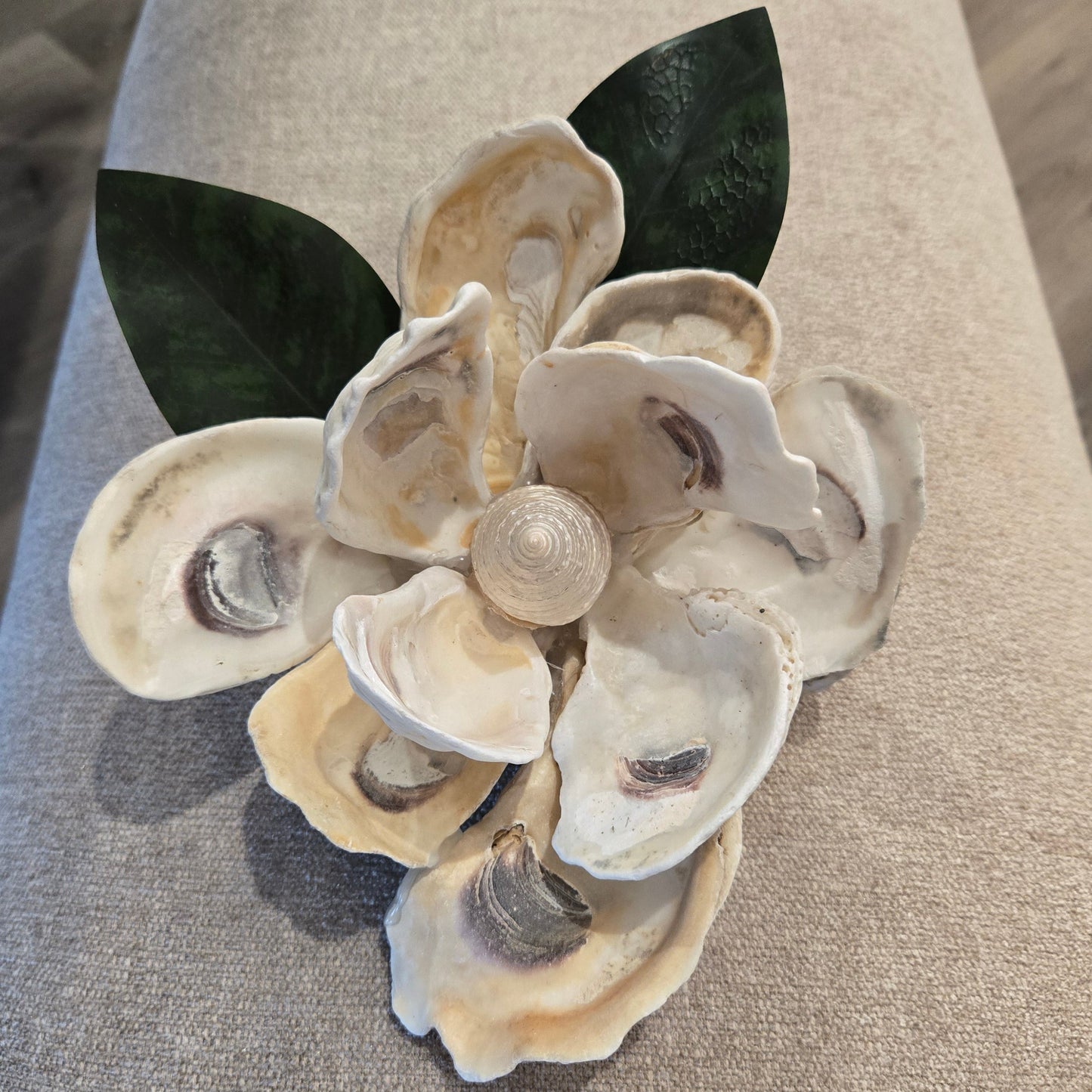 Oyster Magnolia Blossom - Medium