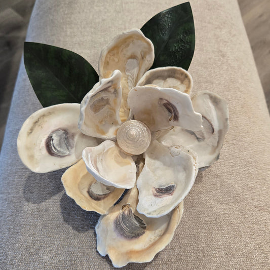 Oyster Magnolia Blossom - Medium