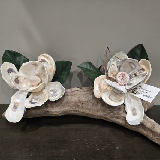 Oyster Magnolia Blossom on Driftwood -Double
