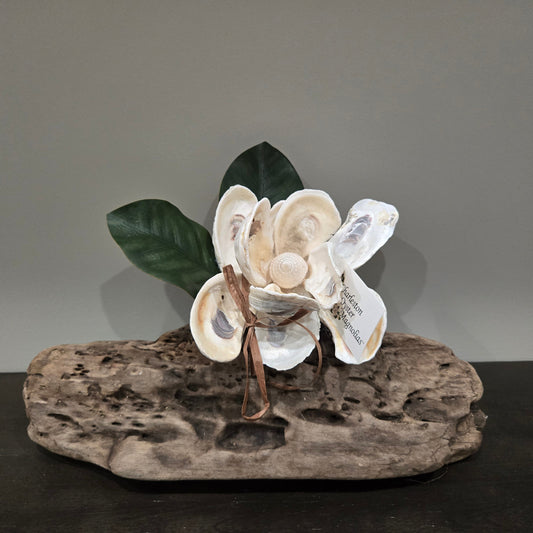 Oyster Magnolia Blossom on Driftwood -Single