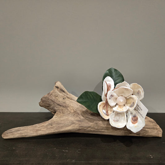Oyster Magnolia Blossom on Driftwood -Single