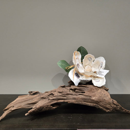 Oyster Magnolia Blossom on Driftwood -Single