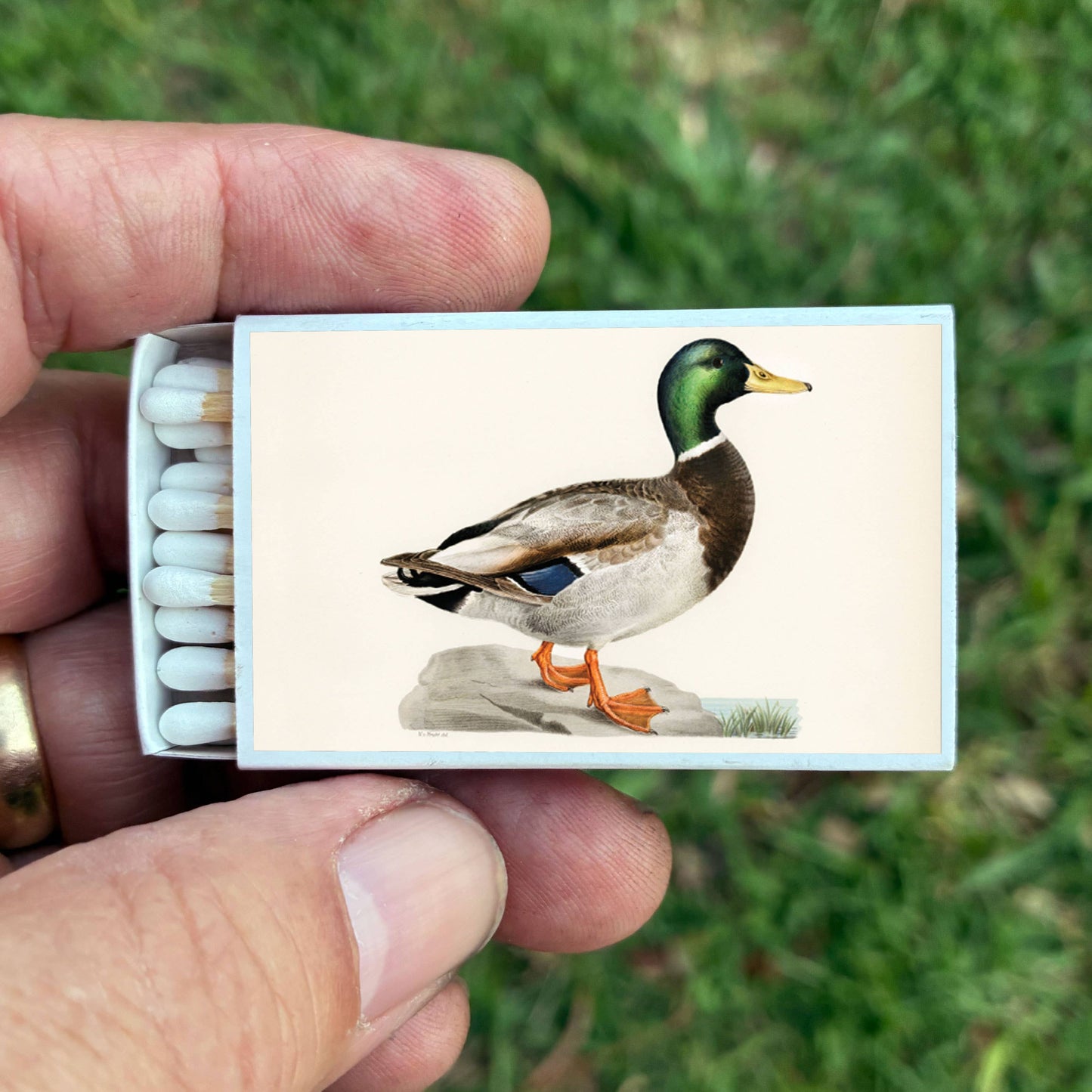 Mallard Duck Matches