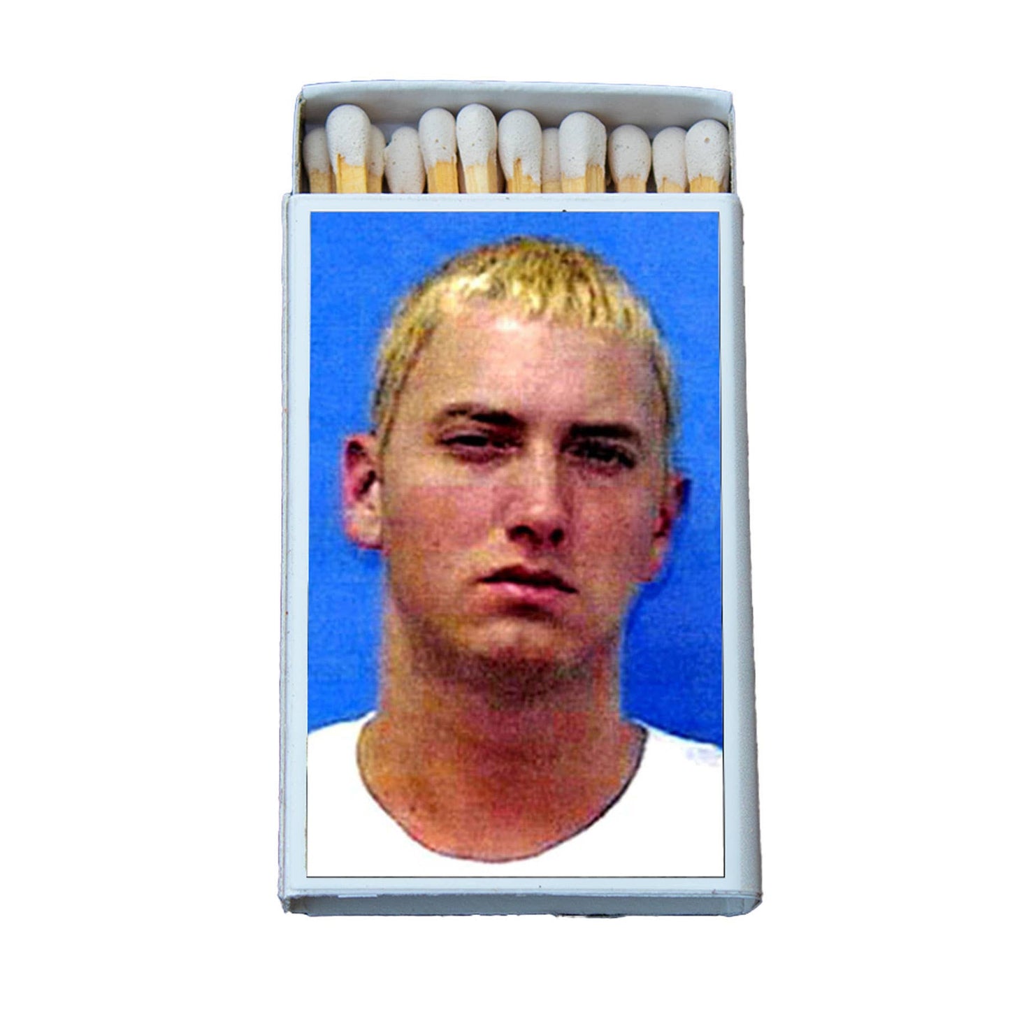 Eminem Mugshot Matches